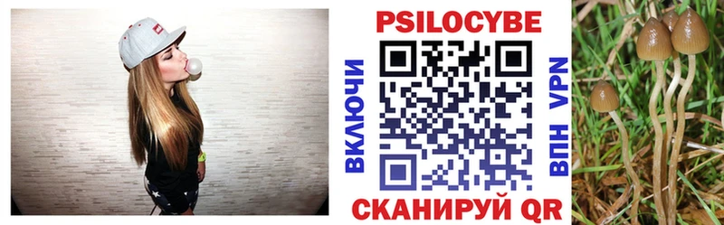 Галлюциногенные грибы Psilocybine cubensis  Купить закладки  Гудермес 